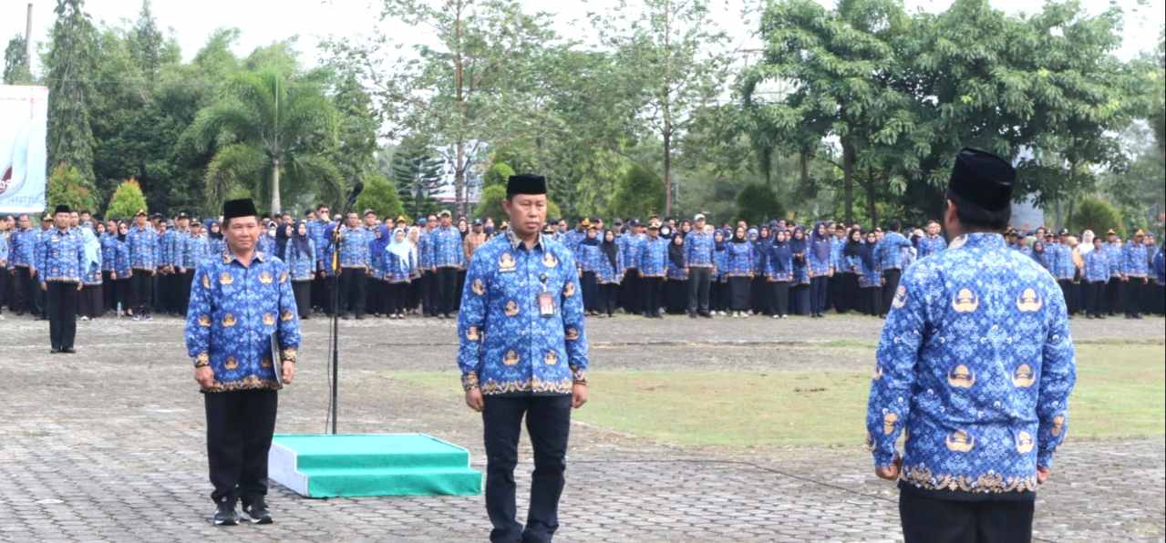 IMG_20241018_082738 IMG 20241018 082738