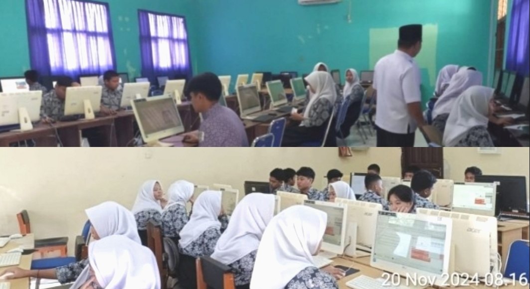 IMG_20241121_065919 IMG 20241121 065919