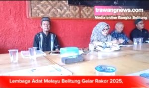 IMG 20250225 133441 1