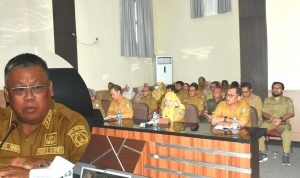 IMG 20250225 151801