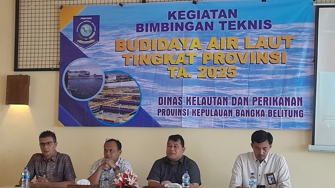 AddText_08-14-11.40.00 AddText 08 14 11.40.00