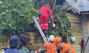 AddText_09-16-07.27.41 AddText 09 16 07.27.41