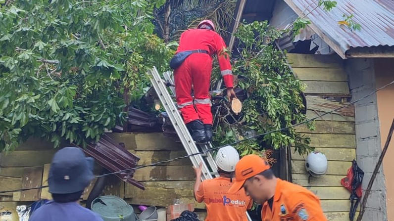 AddText 09 16 07.27.41