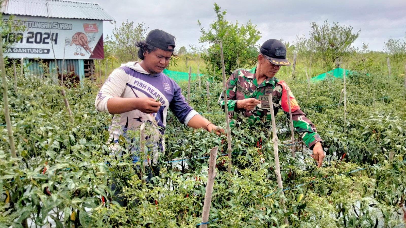 AddText 09 20 04.50.37