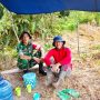 Babinsa Serda Afrizal Kurniawan Monitoring Sawah Kelompok Tani Karya Sepakat  di Desa Air Kelik