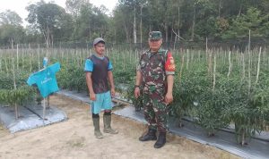 AddText_11-01-03.26.25 AddText 11 01 03.26.25