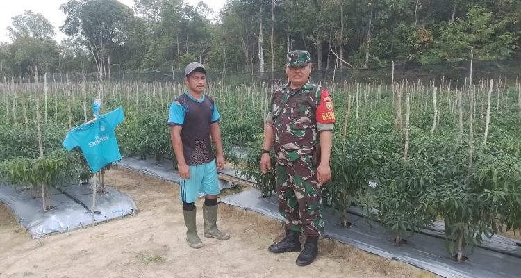 AddText 11 01 03.26.25