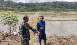 AddText_11-02-01.27.44 AddText 11 02 01.27.44