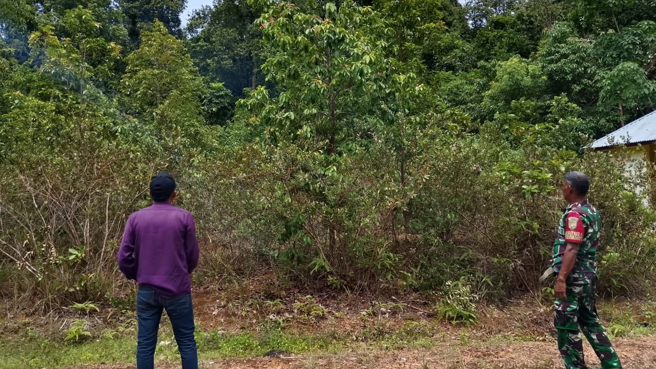 Babinsa Desa Suak Gual Serda Welly Lakukan Pengecekan Lahan Pembangunan Koperasi Merah Putih 2 AddText 11 13 03.27.34