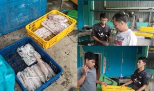 AddText 11 14 02.10.03