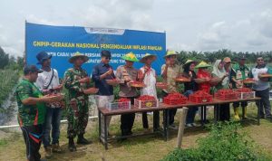 AddText 11 14 04.06.14