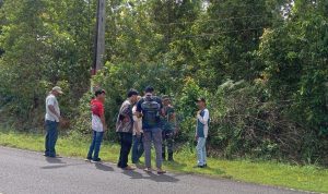 AddText 11 14 04.16.23