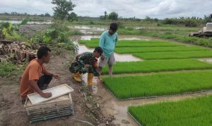 AddText 11 15 01.23.24