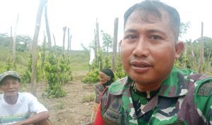 AddText 11 23 02.43.25