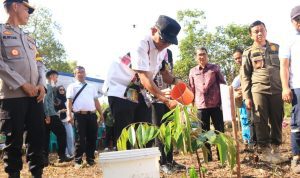 AddText_11-27-01.33.00 AddText 11 27 01.33.00