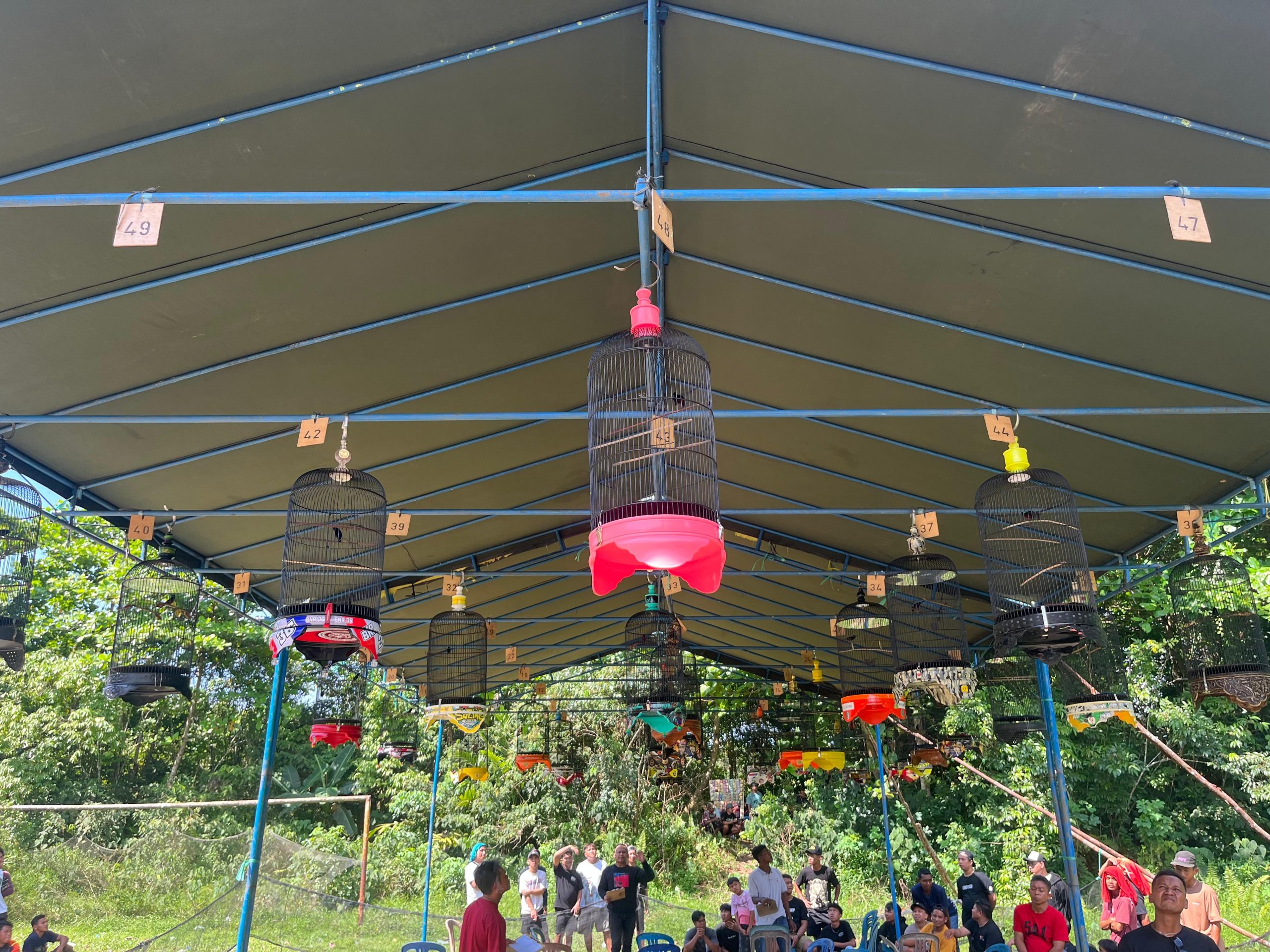 Sebanyak 238 Peserta Meriahkan Lomba Kicau Burung Mania di Bazar UMKM Mandiri Tanjungpandan 2 IMG 20251109 WA0176 scaled