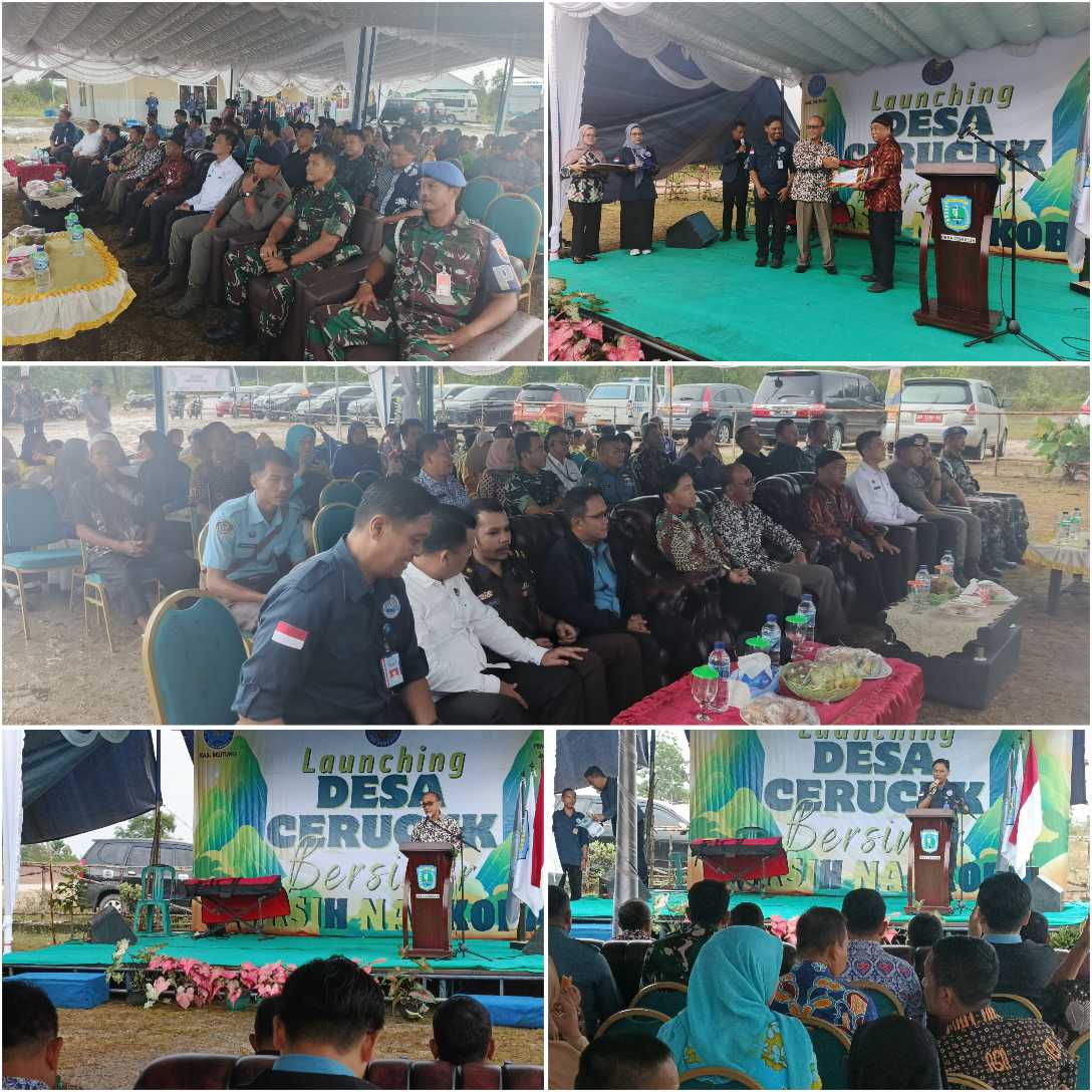 InCollage 20251120 130716488