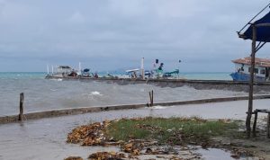 AddText_12-08-03.30.17 AddText 12 08 03.30.17