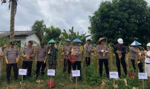 AddText 12 27 01.34.46