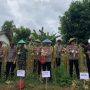 Anggota Koramil 414-04/Membalong Sertu Ahmad Redi Mewakili Danramil 04/Membalong Hadiri Panen Jagung Swasembada di Desa Kembiri