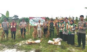 AddText 01 08 02.56.32