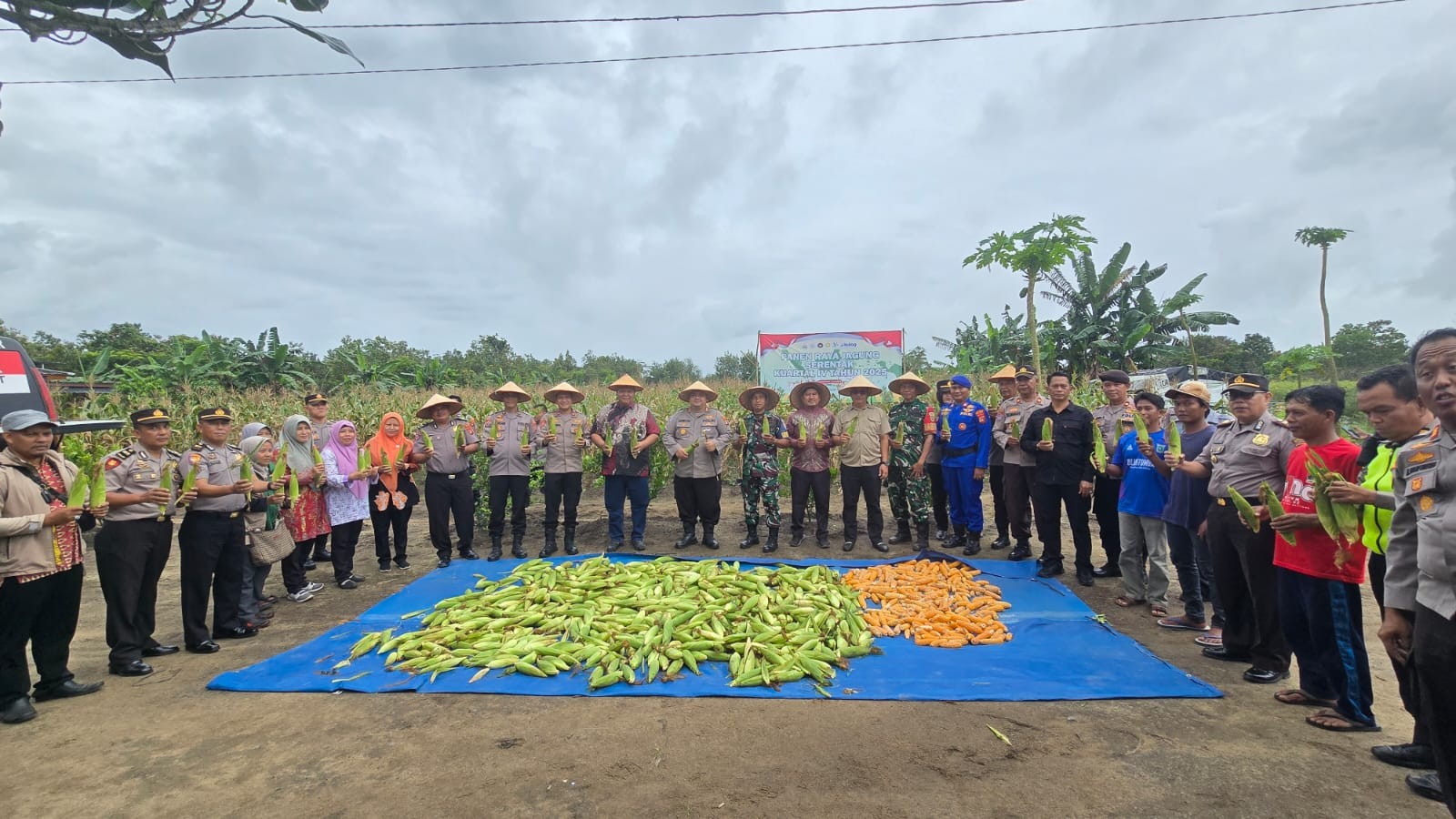 AddText 01 08 03.06.31