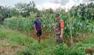 AddText 01 16 04.53.36