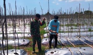 AddText 01 22 04.10.11