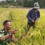 AddText 01 28 03.51.01