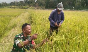 AddText 01 28 03.51.01