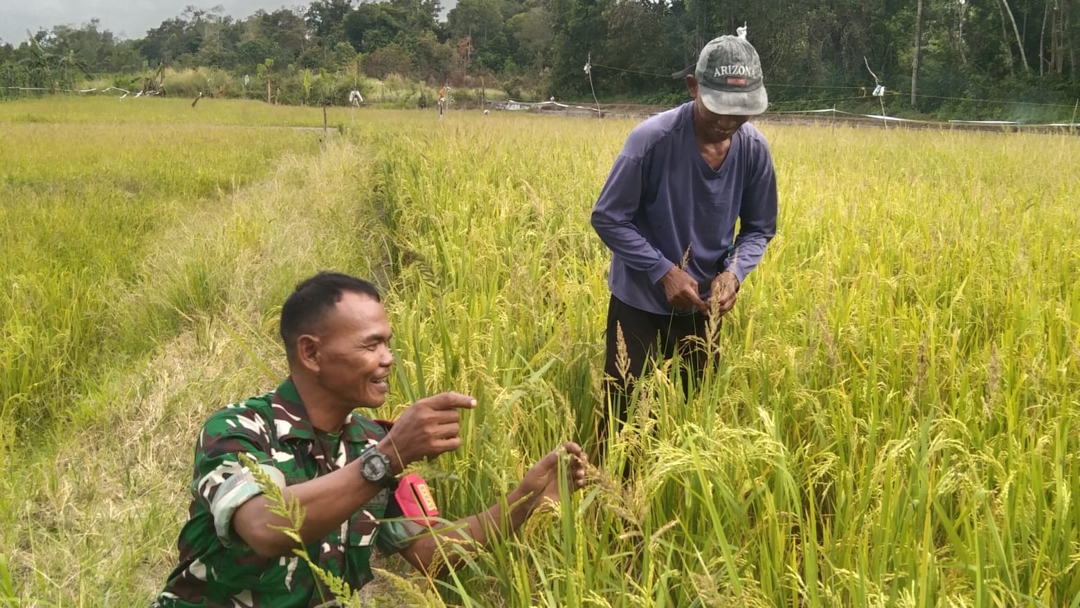 AddText_01-28-03.51.01 AddText 01 28 03.51.01