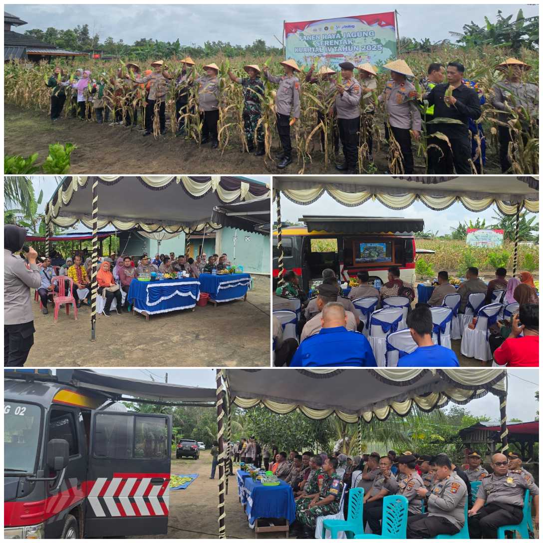 GridArt 20260108 150727674