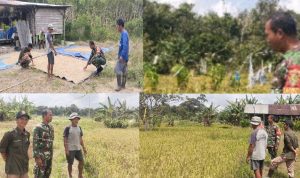 AddText 02 03 04.23.19