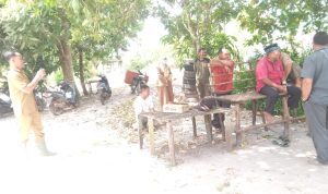 AddText 02 03 12.44.47