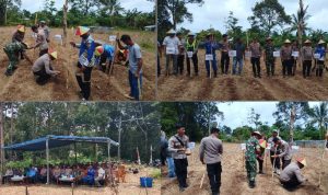 AddText_02-12-01.39.18 AddText 02 12 01.39.18