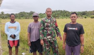 AddText 02 19 03.40.13