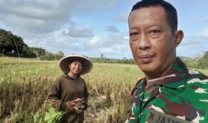 AddText 02 23 04.06.19