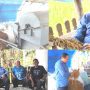 Panen Raya 10 Hektar di Air Serkuk, Senator Darmansyah Husein Hadir Bersama pemilik sawah, Shafwan AR, serta Kelompok Tani
