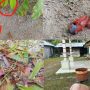 Teror Petasan Hantui Rumah Warga di Air Merbau Belitung, Terjadi Dua Kali Dini Hari