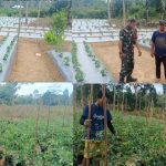 AddText 03 12 03.36.02