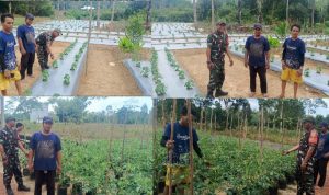 AddText 03 12 03.36.02