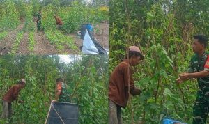 AddText_03-27-04.18.26 AddText 03 27 04.18.26