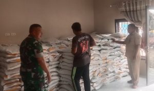 AddText 04 06 01.08.24