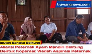 AddText 04 18 02.15.42