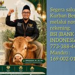 AddText 05 11 10.44.21