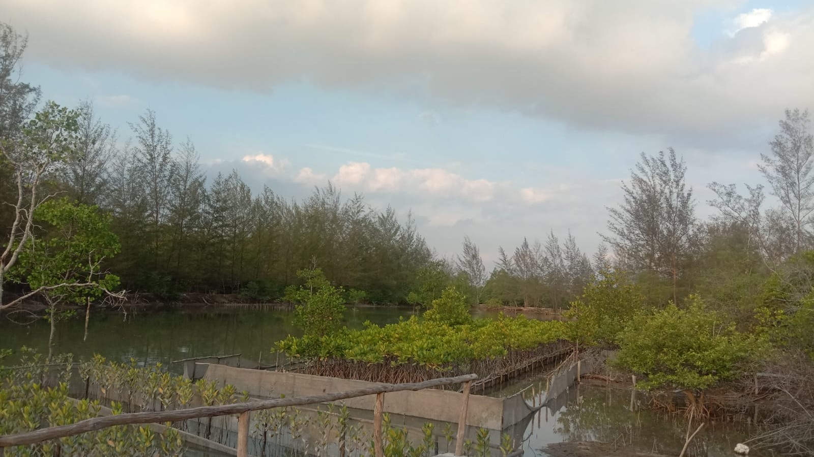 Surga Ekowisata Belitung: Geosite Bukit Peramun dan Juru Seberang 6 AddText 06 11 12.51.28