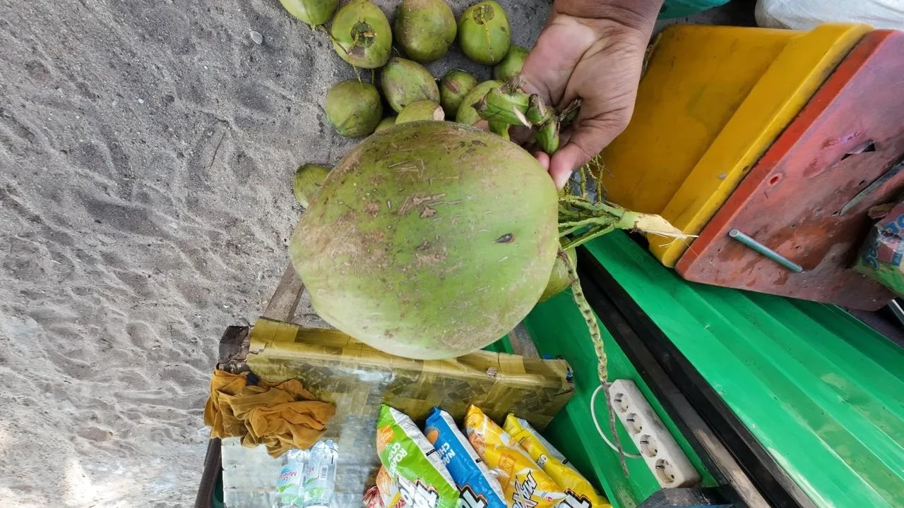 Nikmati Air Kelapa Eksklusif di Pulau Lengkuas: Varietas ini Jadi Komoditas Perekonomian Belitung 8 AddText 08 23 03.50.44
