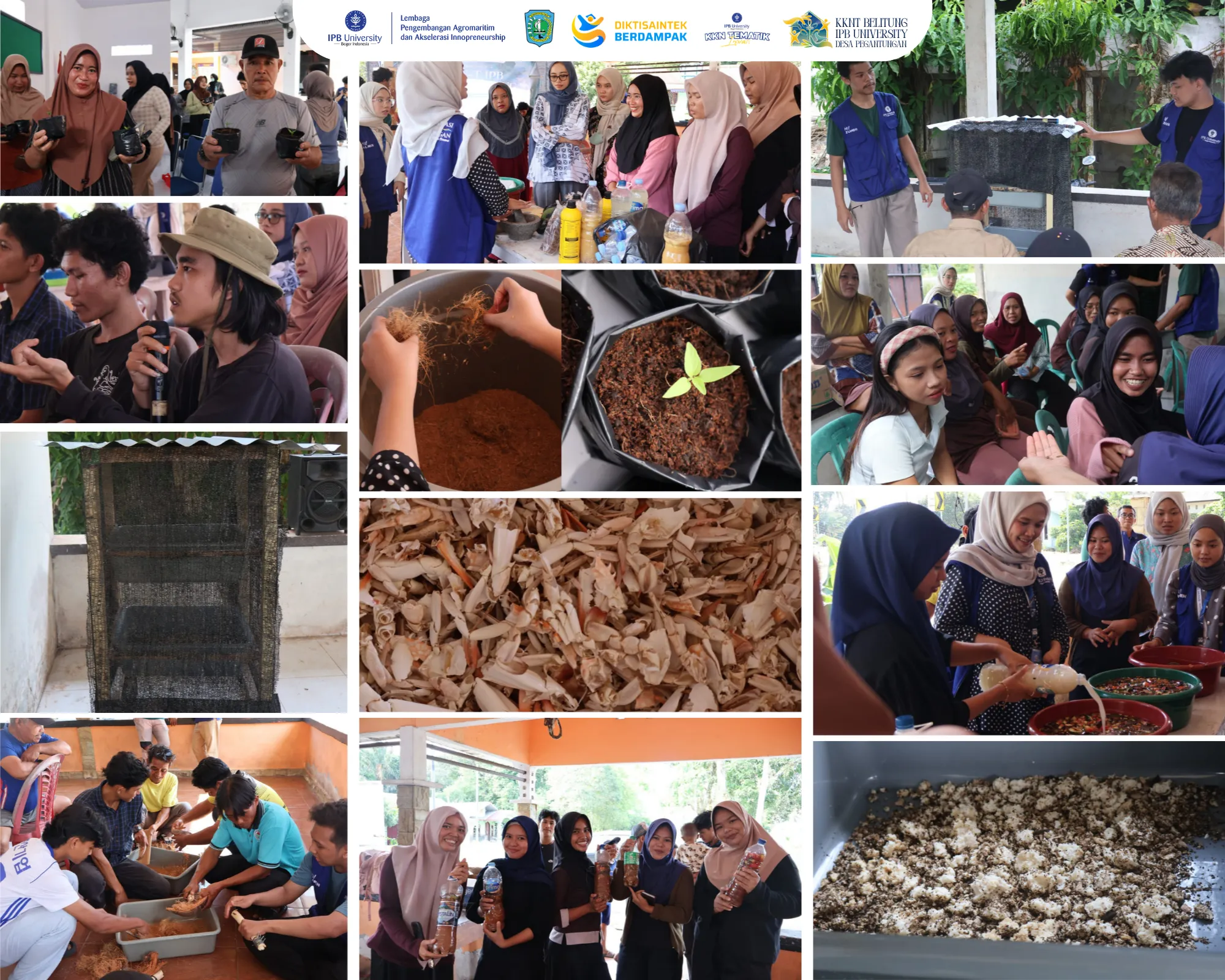 KKNT Inovasi IPB University Dorong Pemanfaatan COCOMI dan MAGGY di Desa Pegantungan 8 AddText 08 26 03.57.35