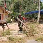 Di Desa Senyubuk, Sertu I Kadek Edi P. Bantu Warga Pangkas Pohon Cemara yang Mengarah ke Jalan
