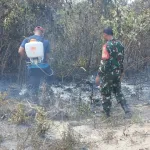 Kebakaran Lahan Seluas 2 Hektare Terjadi di Desa Badau, Api Berhasil Dipadamkan